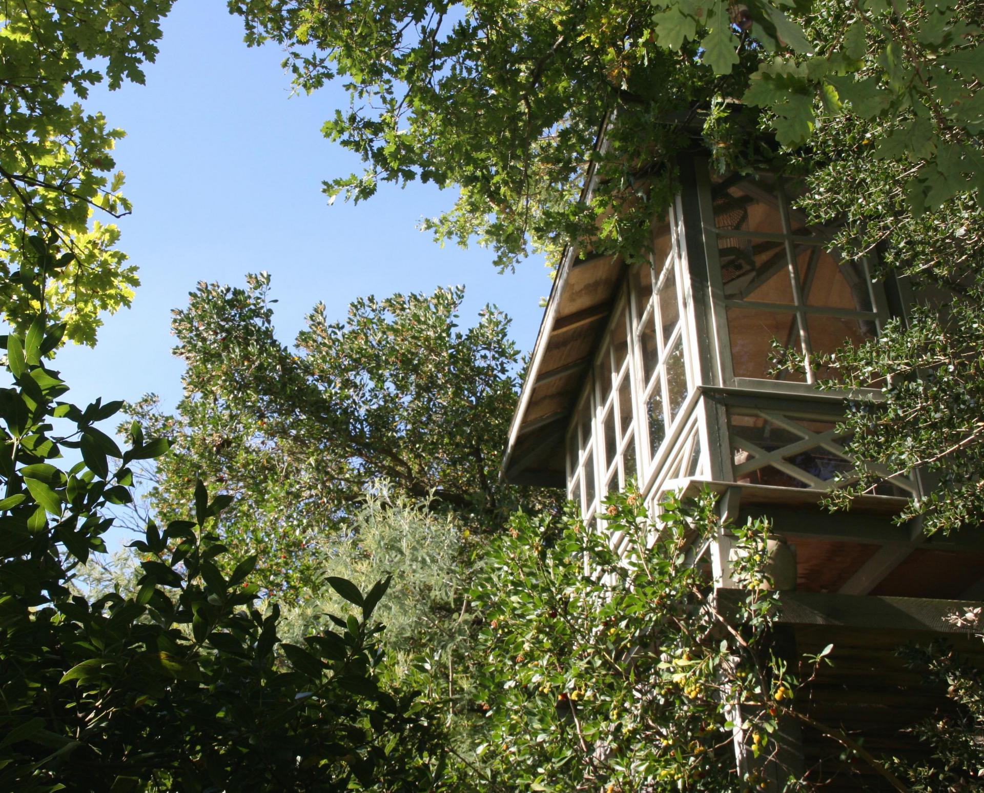 Cabane rue Péreira, Ville-d