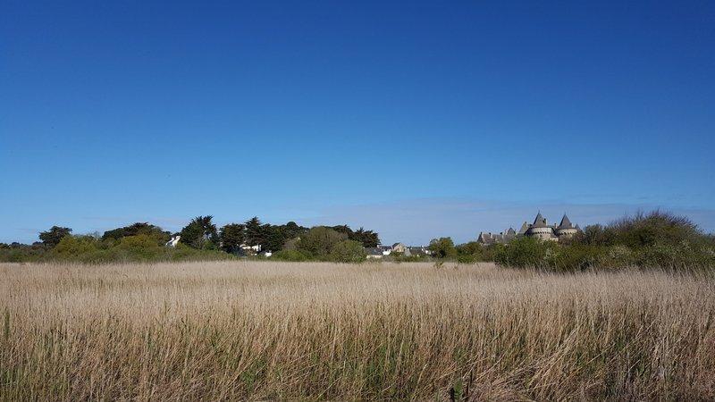 Seaside property and garden