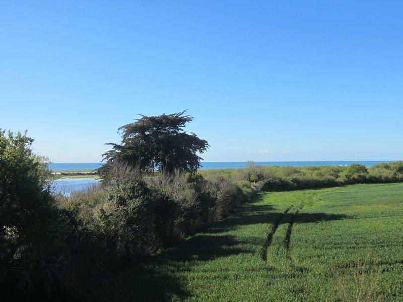 Seaside property and garden