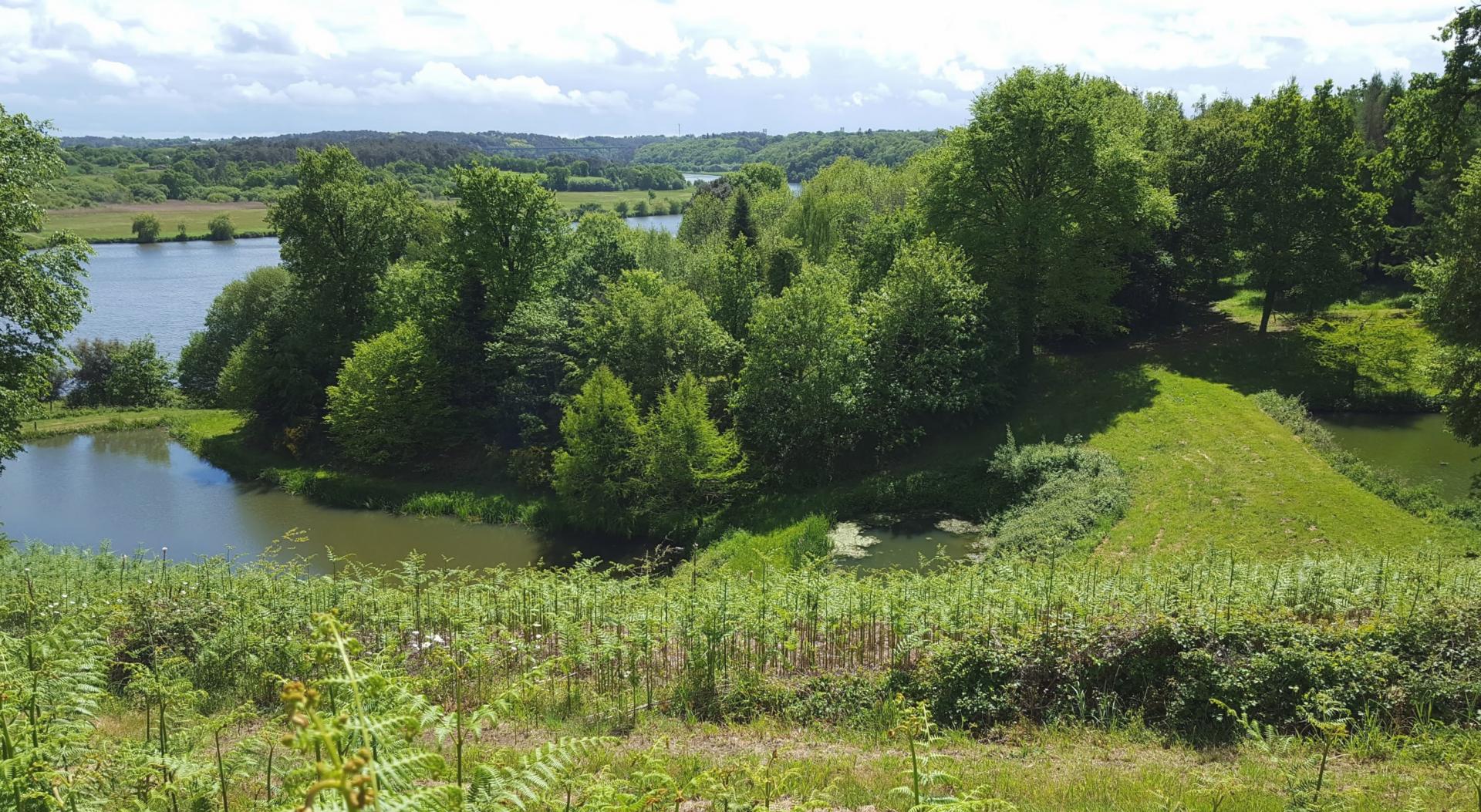 Properties castle and outbuildings on 156Ha river view