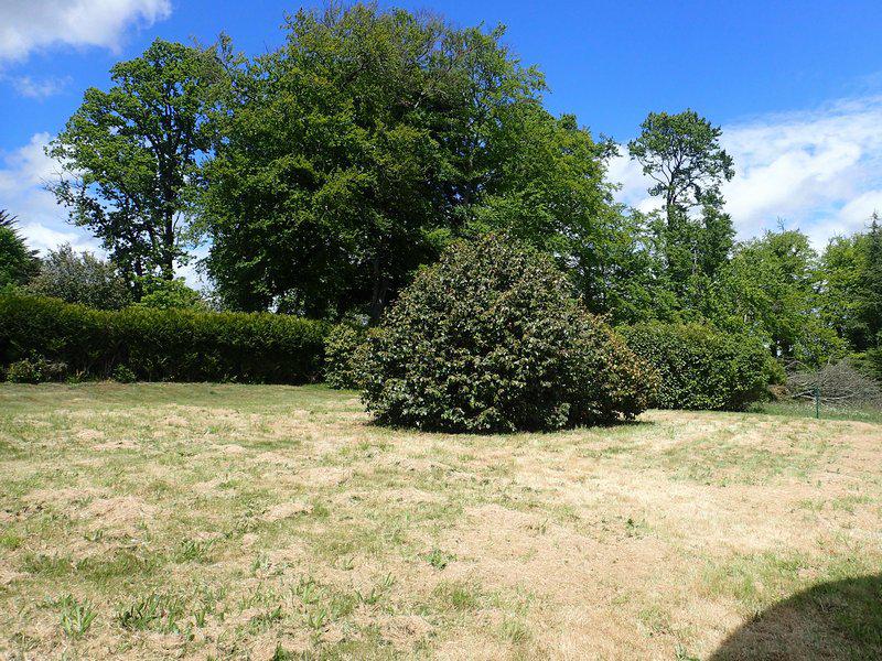 Stone house swimming pool garden