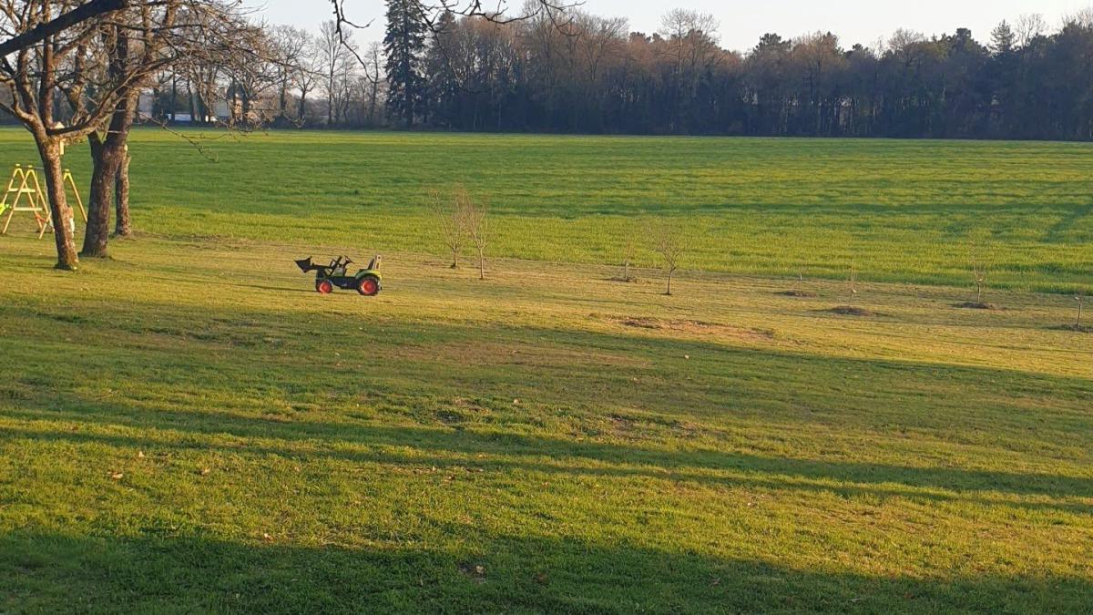 Large building plot with trees 15 km from Vannes