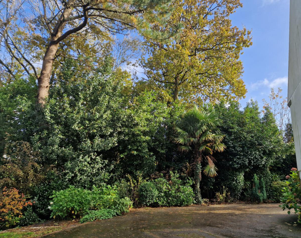 Downtown family home garden garage 