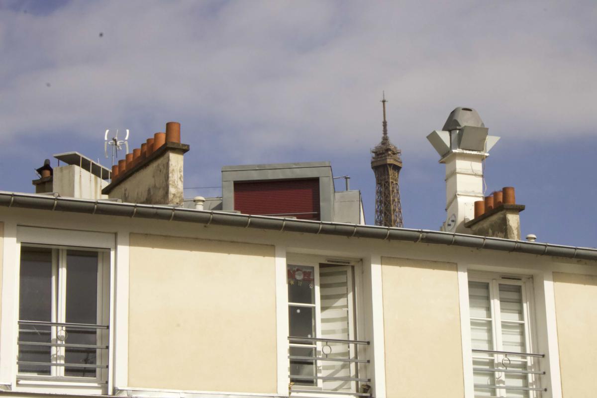 Exclusive Dupleix Eiffel Tower view Apartment 1 bdrm + cellar