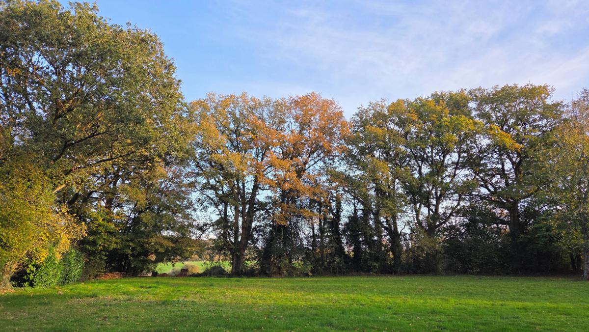 Family Home Campaign with Pool and Outbuilding
