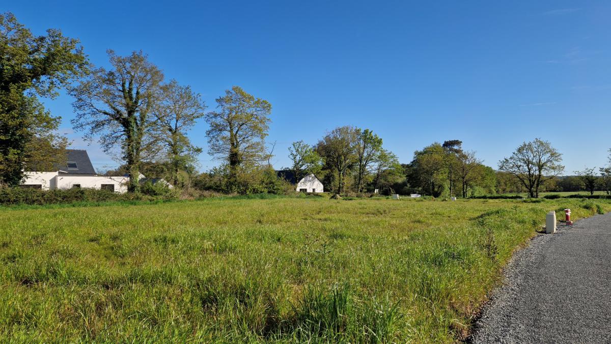 Country longère 5 bedrooms and outbuildings land swimming pool