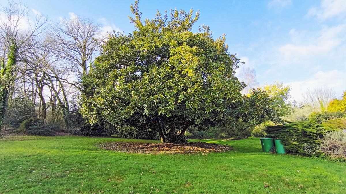 Exclusivité Crach proche Auray maison 222 m2 6 chambres