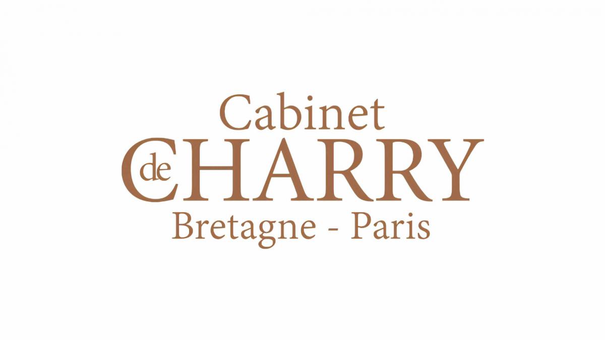 Apartment with balcony and terrace overlooking the Loire River +