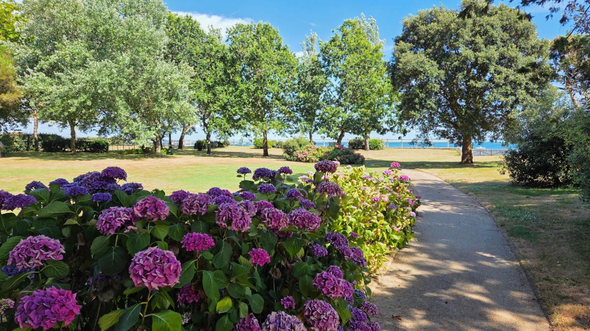Maison contemporaine jardin plage direct
