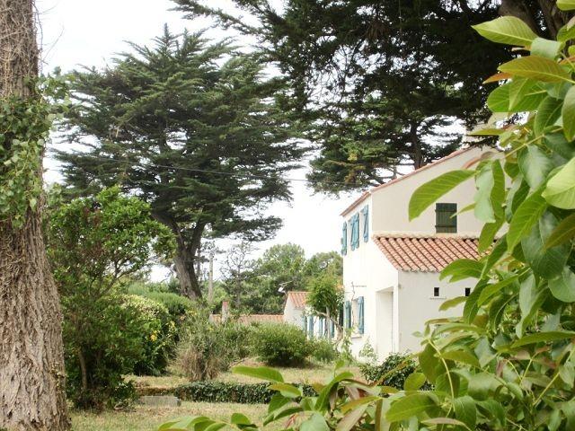 Maison fort potentiel grand terrain
