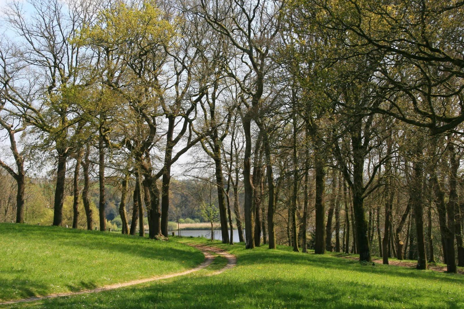 Propriétés château et dépendances sur 156Ha vue rivière