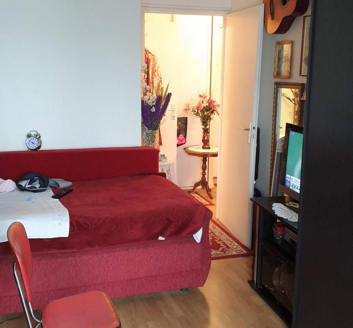 Appartement Viager occupé 47m2 balcon