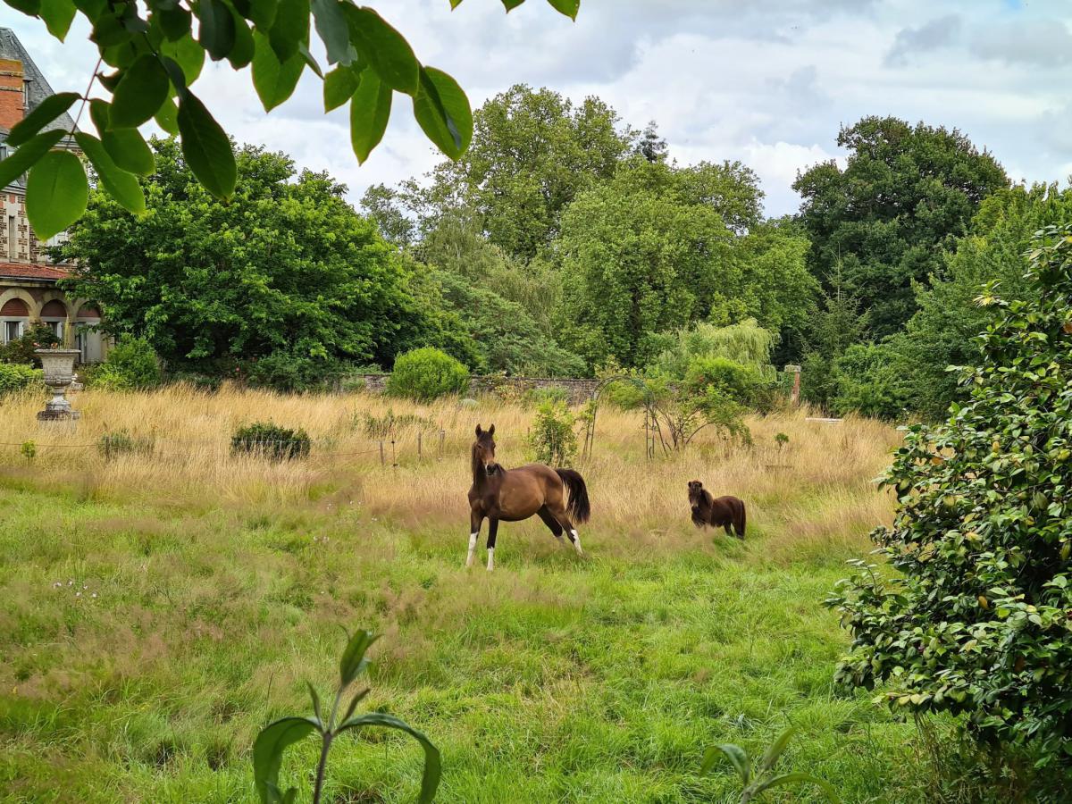 Propriété château réceptions parc