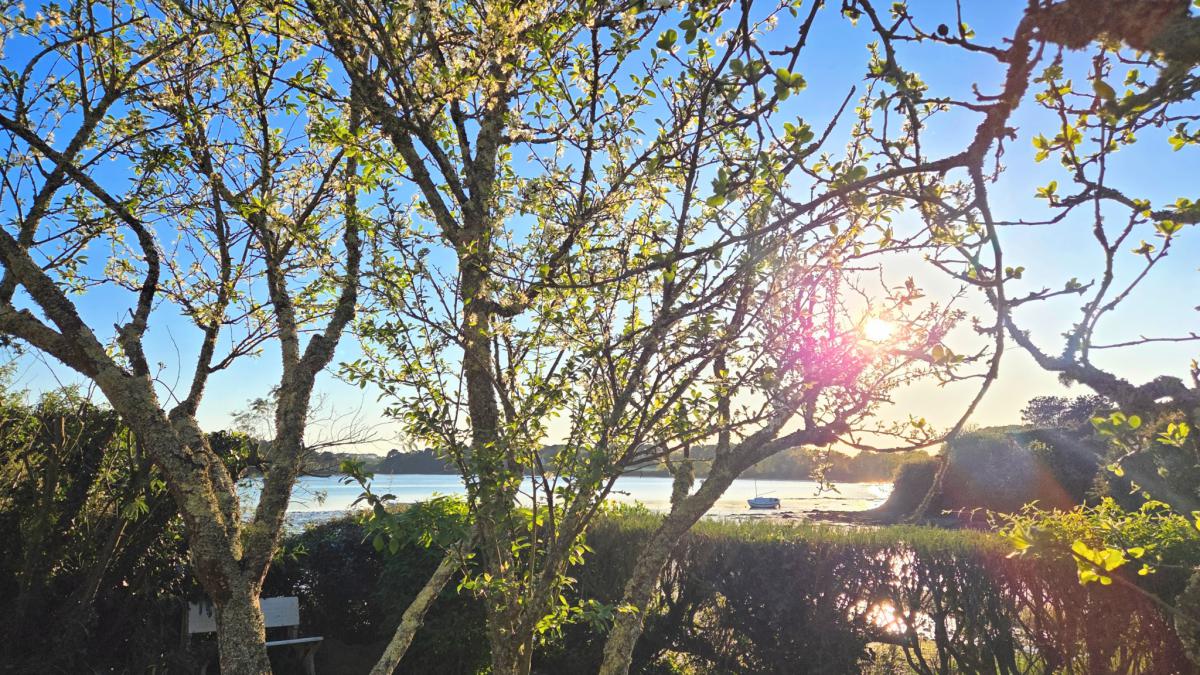 Vue mer sur le Golfe maison 3ch+bureau jardin terrasse