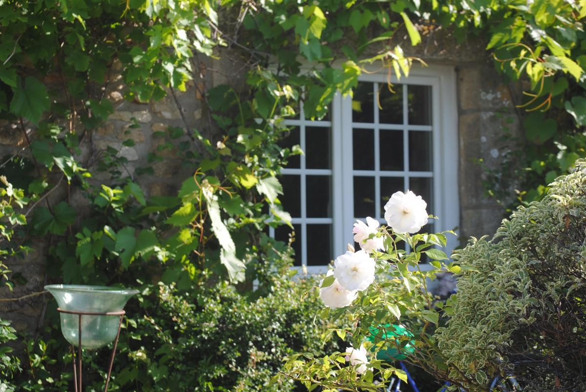   Petite vue mer maison ancienne 5 ch jardin-terrasse arboré