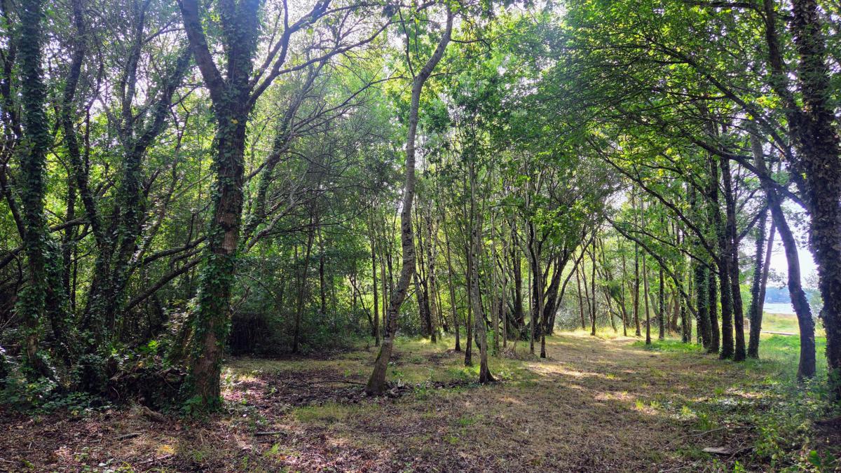 Vue et accès direct Ria d