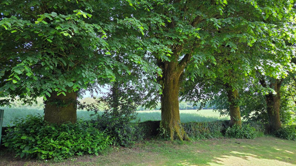 Campagne propriété deux longères parc 1 Ha
